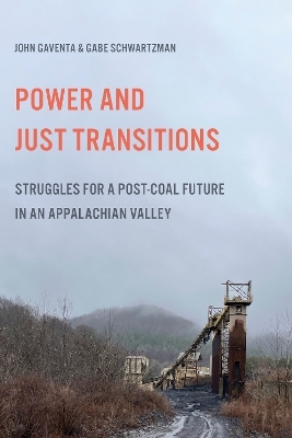 Power and Just Transitions - John Gaventa, Gabe Schwartzman