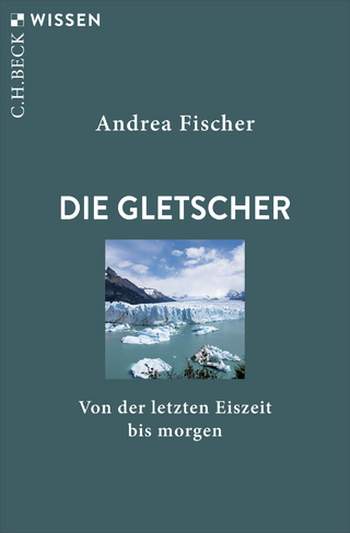 Die Gletscher