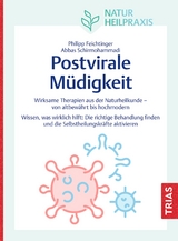 Postvirale Müdigkeit - Philipp Feichtinger, Abbas Schirmohammadi