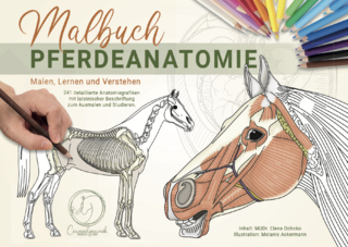 Malbuch Pferdeanatomie