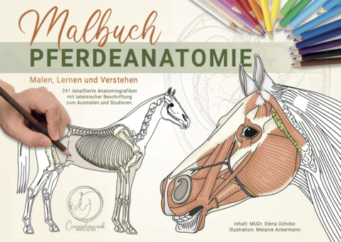 Malbuch Pferdeanatomie - Elena Ochoko