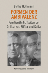 Formen der Ambivalenz - Birthe Hoffmann