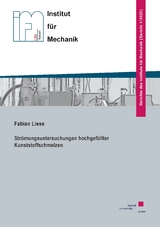 Str&ouml;mungsuntersuchungen hochgef&uuml;llter Kunststoffschmelzen - Fabian Liese