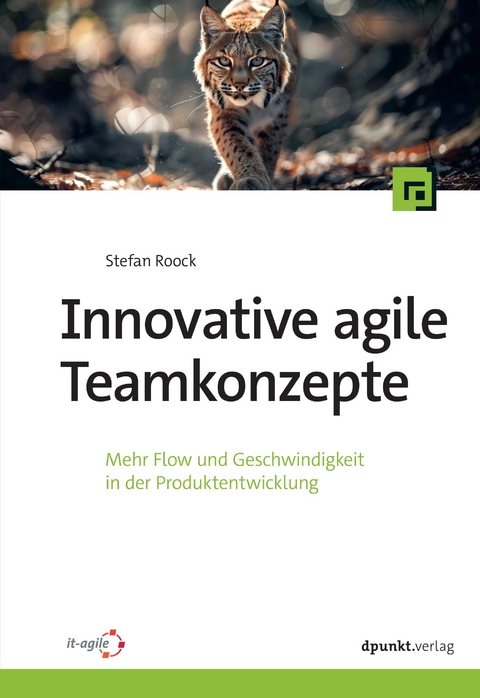 Innovative agile Teamkonzepte - Stefan Roock