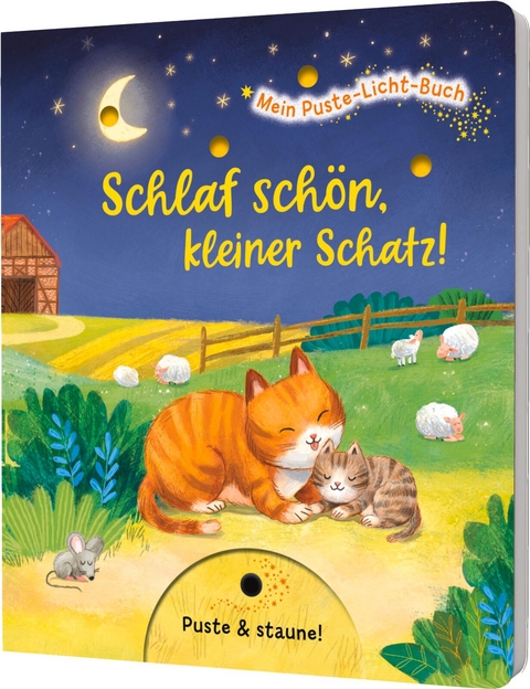 Mein Puste-Licht-Buch: Schlaf sch&ouml;n, kleiner Schatz! - Madlen Ottenschl&auml;ger