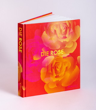 Die Rose