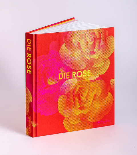 Die Rose
