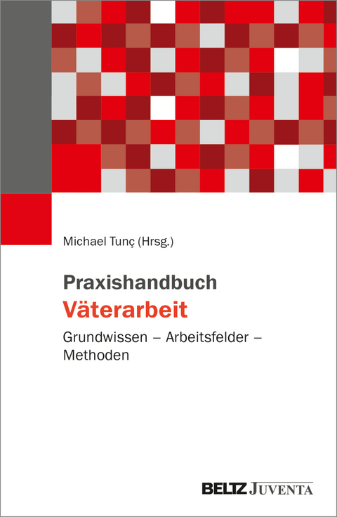 Praxishandbuch Väterarbeit - 