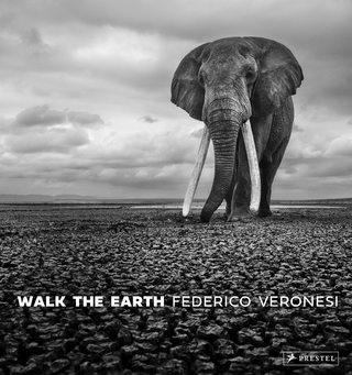 Walk the earth