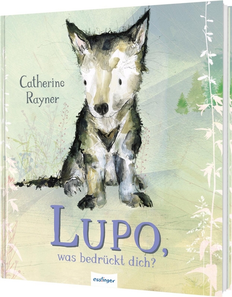 Lupo, was bedr&uuml;ckt dich? - Catherine Rayner
