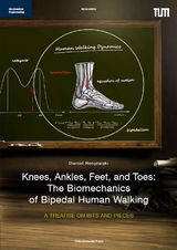 Knees, Ankles, Feet, and Toes: The Biomechanics of Bipedal Human Walking - Daniel Renjewski