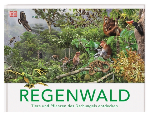 Regenwald - Michael Leach, Meriel Lland