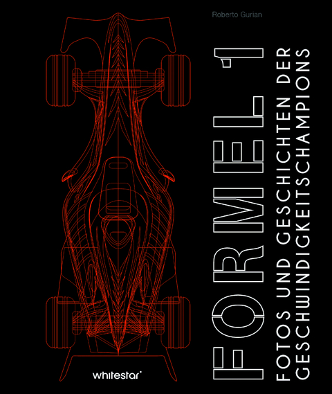 Formel 1 -  Roberto Gurian