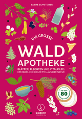 Die grosse Waldapotheke - Sabine Eilmsteiner