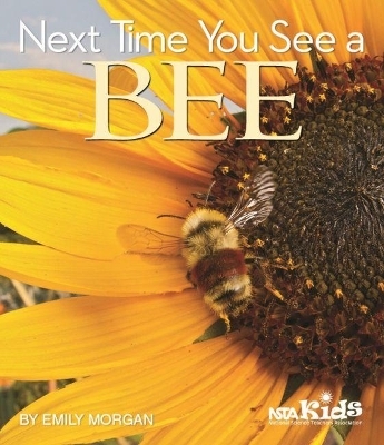 Next Time You See a Bee - Emily Morgan