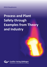 Process and Plant Safety through Examples from Theory and Industry - Ulrich Hauptmanns