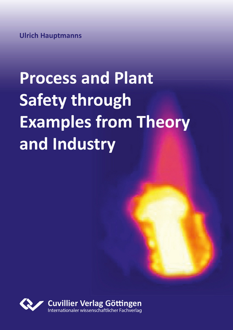 Process and Plant Safety through Examples from Theory and Industry - Ulrich Hauptmanns