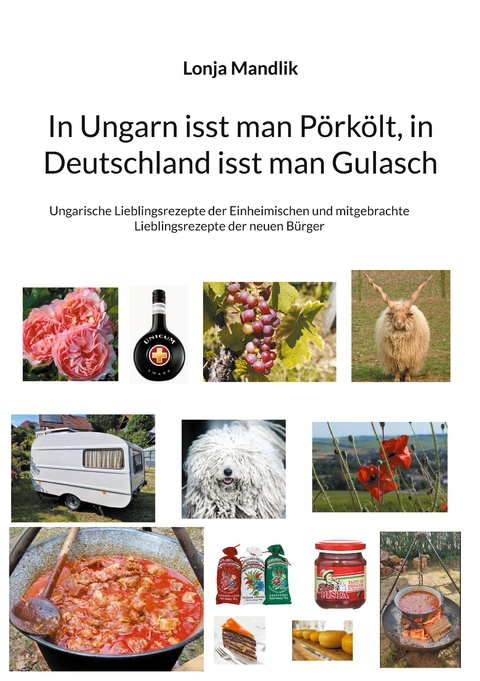 In Ungarn isst man P&ouml;rk&ouml;lt, in Deutschland isst man Gulasch - Lonja Mandlik