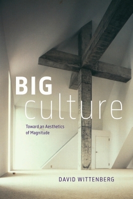 Big Culture - David Wittenberg