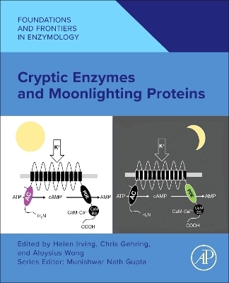 Cryptic Enzymes and Moonlighting Proteins - 