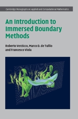 An Introduction to Immersed Boundary Methods - Roberto Verzicco, Marco D. de Tullio, Francesco Viola