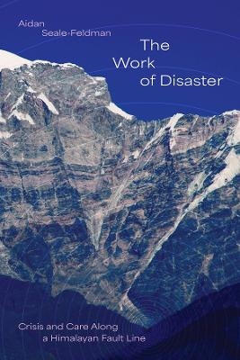 The Work of Disaster - Aidan Seale-Feldman