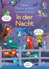 Meine ersten Wimmelr&auml;tsel: In der Nacht - Kirsteen Robson