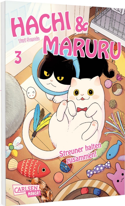 Hachi & Maruru &ndash; Streuner halten zusammen! 3 - Yuri Sonoda