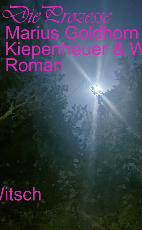 Die Prozesse - Marius Goldhorn
