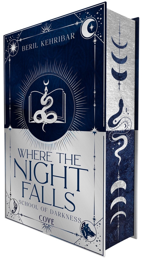 Where the Night Falls (School of Darkness 1) - Beril Kehribar