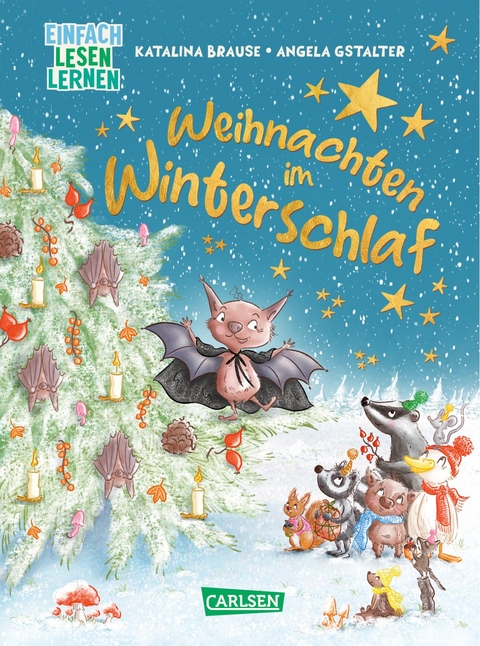 Weihnachten im Winterschlaf - Katalina Brause