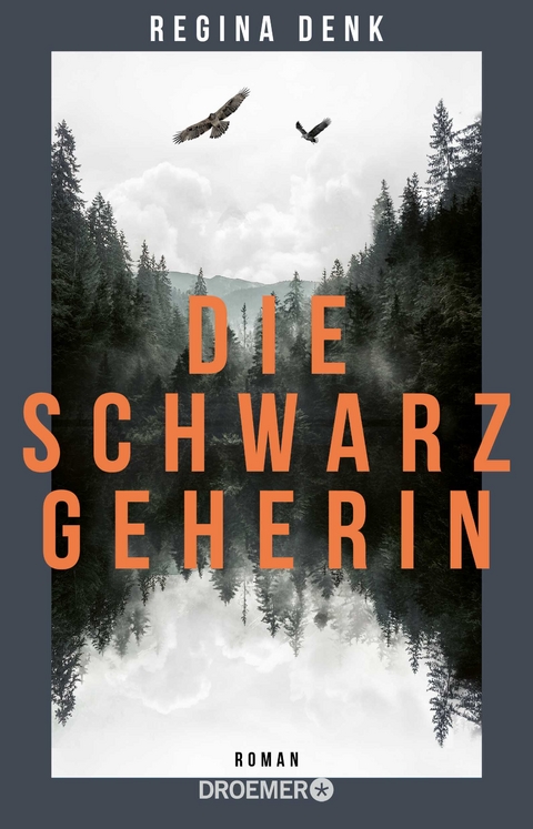Die Schwarzgeherin - Regina Denk