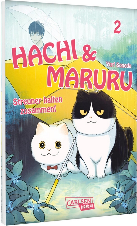 Hachi & Maruru &ndash; Streuner halten zusammen! 2 - Yuri Sonoda
