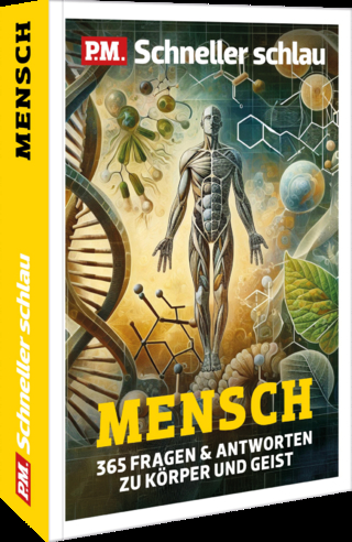 P.M. Schneller schlau - Mensch