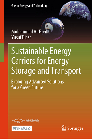 Sustainable Energy Carriers for Energy Storage and Transport