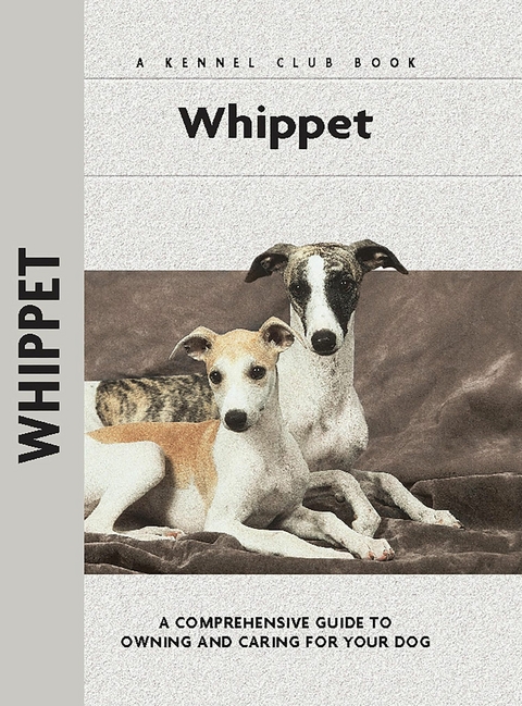 Whippet - Juliette Cunliffe