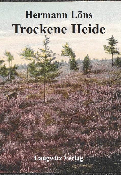 Trockene Heide - Hermann L&ouml;ns