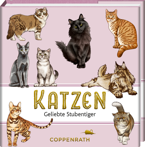 Katzen