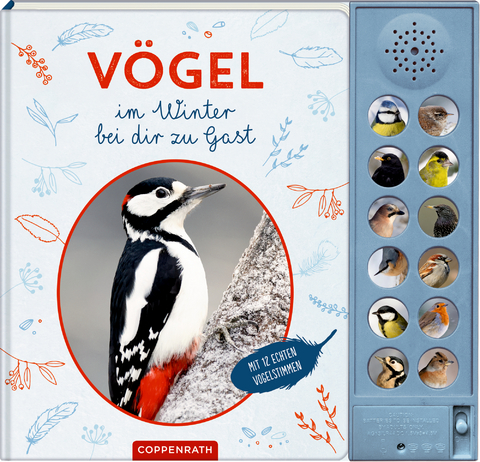 V&ouml;gel im Winter bei dir zu Gast - B&auml;rbel Oftring