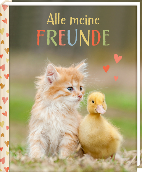 Freundebuch &ndash; Alle meine Freunde