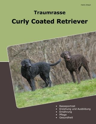 Traumrasse Curly Coated Retriever