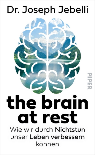 the brain at rest