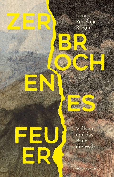 Zerbrochenes Feuer - Linn Penelope Rieger