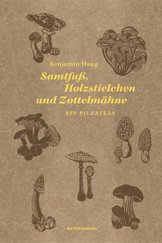 Samtfuß, Holzstielchen und Zottelmähne