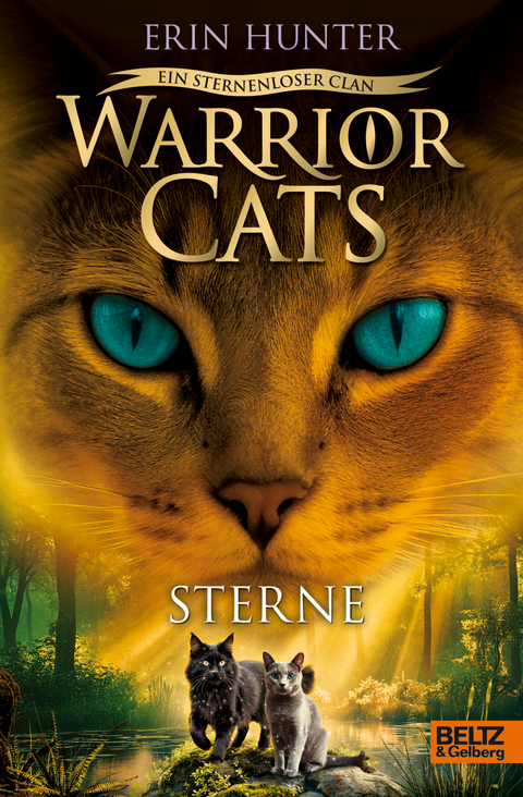 Warrior Cats - Ein sternenloser Clan. Sterne - Erin Hunter