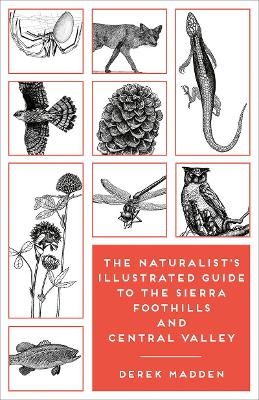 The Naturalist's Illustrated Guide to the Sierra Foothills and Central Valley