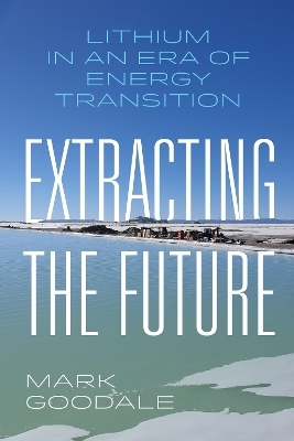 Extracting the Future