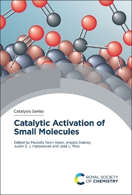 Catalytic Activation of Small Molecules - 