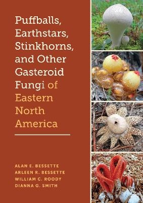 Puffballs, Earthstars, Stinkhorns, and Other Gasteroid Fungi of Eastern North America
