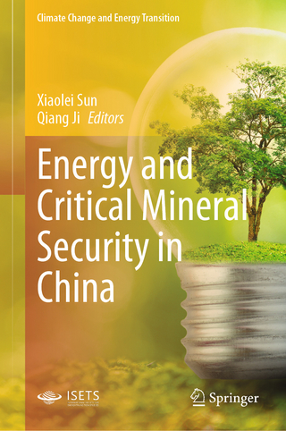 Energy and Critical Mineral Security in China